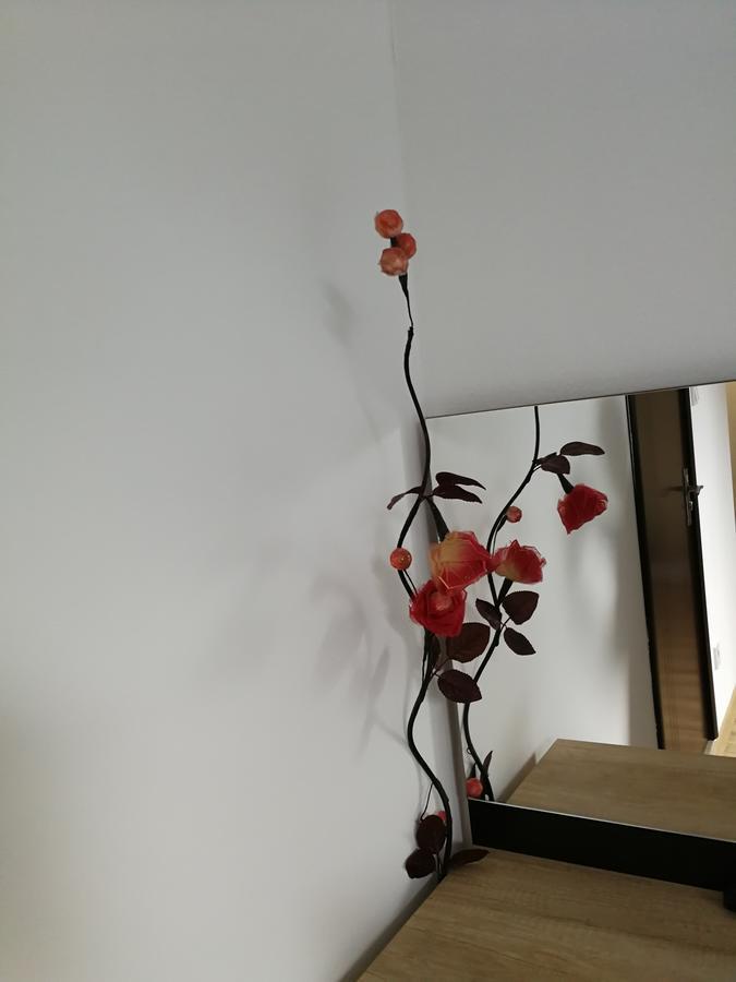House Apartment Minerilor Kaloşvar Dış mekan fotoğraf