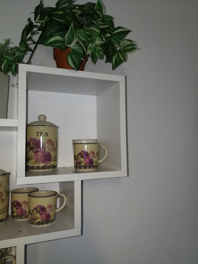 House Apartment Minerilor Kaloşvar Dış mekan fotoğraf