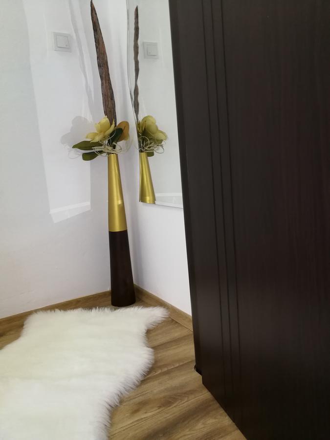 House Apartment Minerilor Kaloşvar Dış mekan fotoğraf