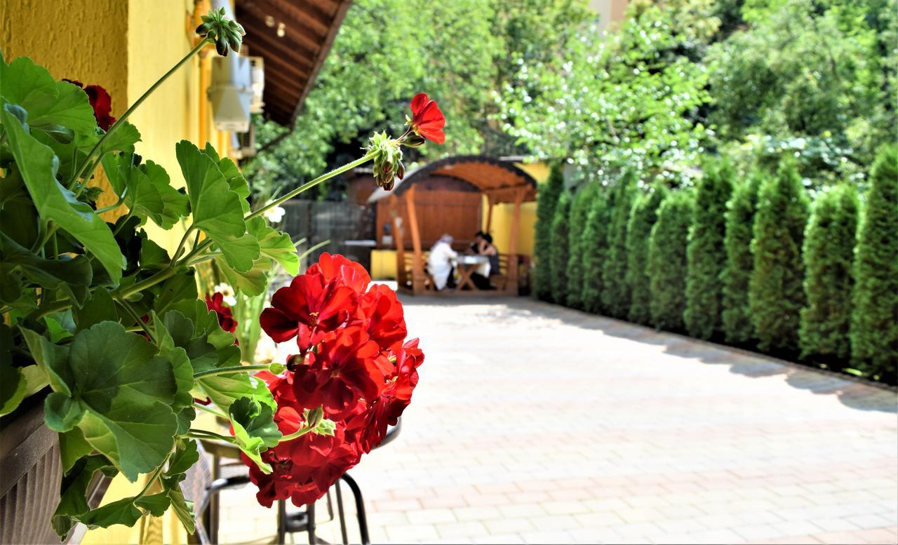 House Apartment Minerilor Kaloşvar Dış mekan fotoğraf