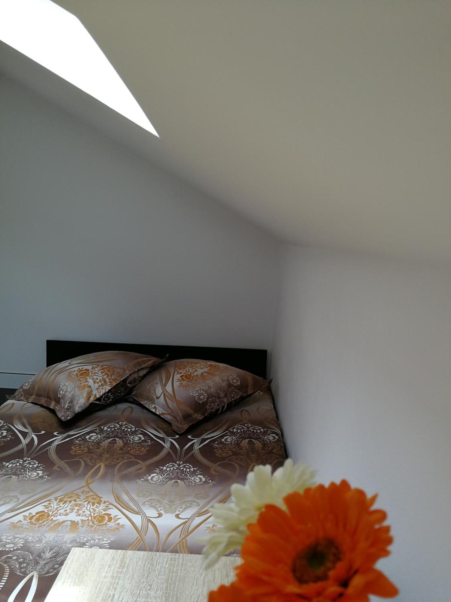 House Apartment Minerilor Kaloşvar Dış mekan fotoğraf